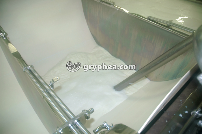 Fabrication du fromage - Remplissage des cuves de lait frais (début) - gryphea.com